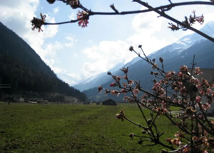 Apartmán Bioholzhaus Haslinger