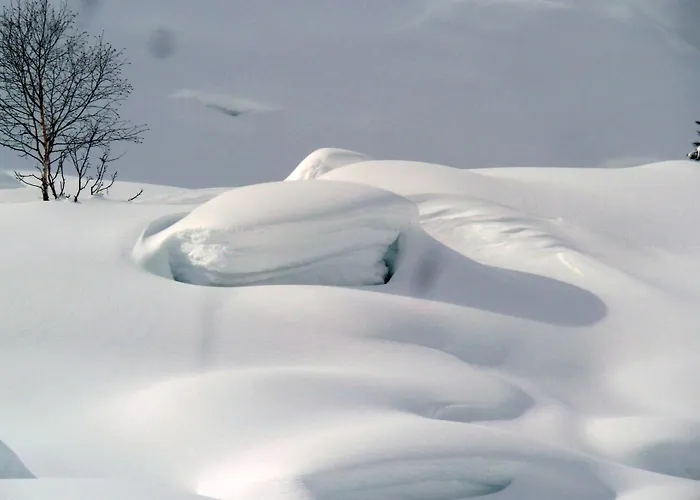 Bioholzhaus Haslinger